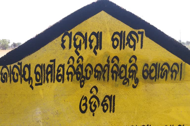 ମନରେଗା ଯୋଜନାରେ ଦୁର୍ନୀତି! କଣ୍ଟାମାଳରେ ମଣିଷ ବଦଳରେ କାମ କରୁଛି ମେସିନ