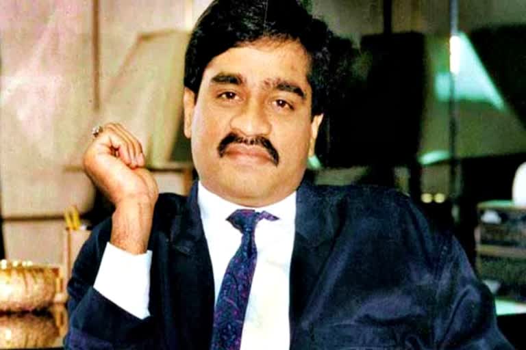 Dawood is in Karachi  Dawood Ibrahim would send money to kin witness revelation  Dawood Ibrahim would send Rs 10 lakh to his siblings every month  witness revealed about Dawood Ibrahim  ദാവൂദ് ഇബ്രാഹിം സഹോദരങ്ങൾക്ക് മാസംതോറും പണമയച്ചിരുന്നു  ദാവൂദ് ഇബ്രാഹിം പുതിയ വെളിപ്പെടുത്തൽ  അധോലോക നായകൻ ദാവൂദ് ഇബ്രാഹിം  Underworld terrorist Dawood Ibrahim  ദാവൂദ് ഇബ്രാഹിമിനെ കുറിച്ച് സാക്ഷി ഖാലിദ് ഉസ്‌മാൻ ഷെയ്‌ഖ്  Witness Khalid Usman Sheikh about Dawood Ibrahim  ദാവൂദ് ഇബ്രാഹിം പാകിസ്ഥാൻ കറാച്ചിയിൽ  ദാവൂദ് സഹോദരങ്ങൾക്ക് 10 ലക്ഷം രൂപ അയച്ചിരുന്നു  Alishah Parkar about underworld don Dawood Ibrahim