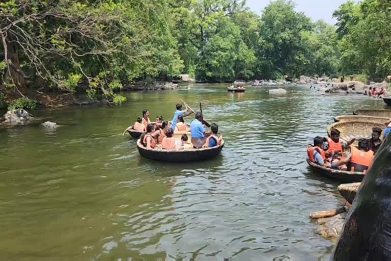 ஒகேனக்கல் அருவியில் குளிக்கவும், படகு சவாரிக்கும் அனுமதி: மாவட்ட ஆட்சியர் அனுமதி