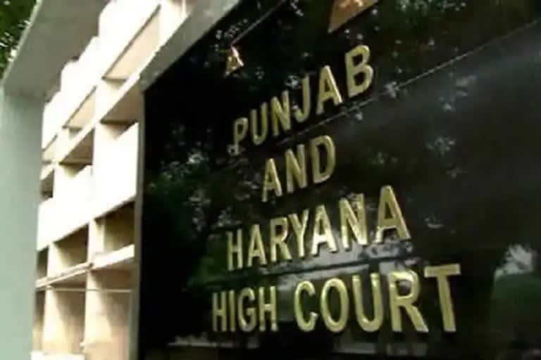 punjab haryana high court chandigarh