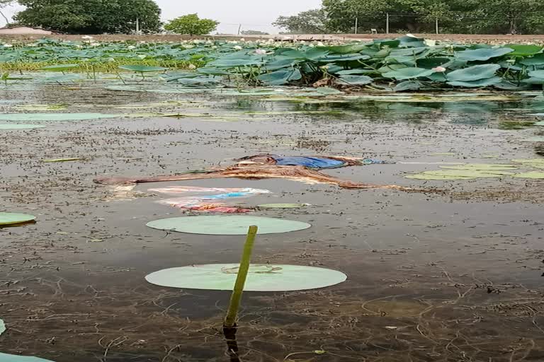 dead body found in jyotipur area of gaurella