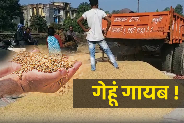 wheat crisis in uttarakhand