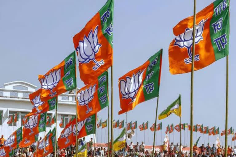 BJP Planning to train Leaders about Social Media