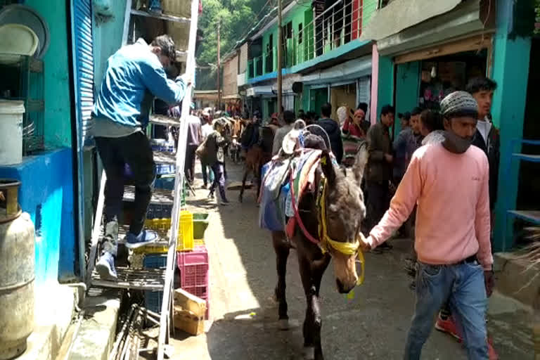 Two mules die due to electrocution