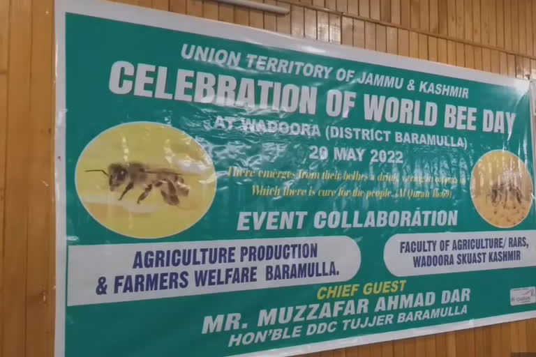 World Bee Day