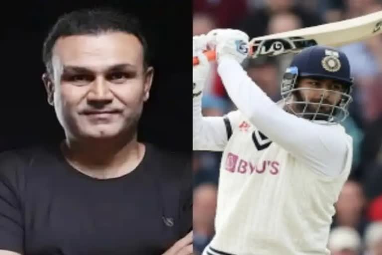 Sehwag & Rishabh