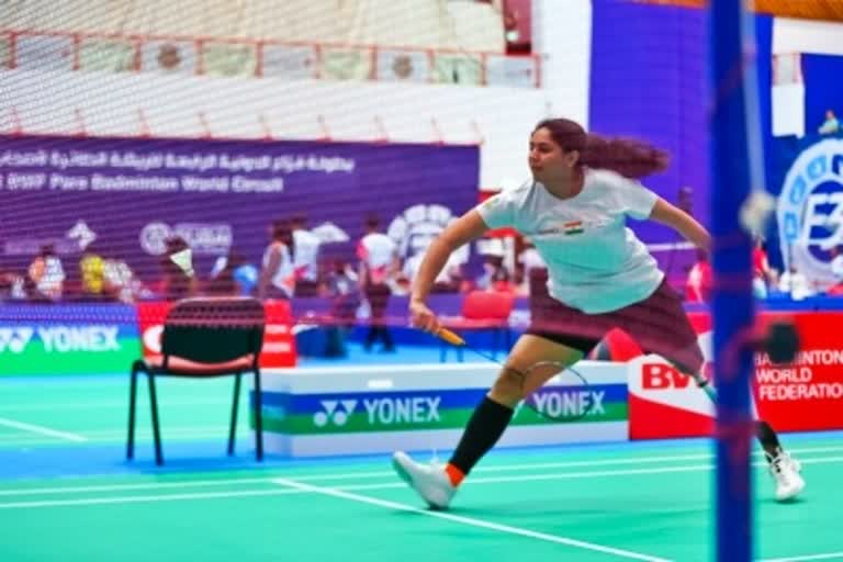 Fazza Dubai Para-Badminton  Top Indian shuttlers  Indian shuttlers reach quarter-finals  Fazza Dubai Para-Badminton quarter-finals  फज्जा दुबई पैरा-बैडमिंटन  भारतीय शटलर  पैरा-बैडमिंटन क्वॉर्टर फाइनल  खेल समाचार  Sports News