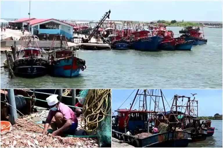 trawling ban in kerala  സംസ്ഥാനത്ത് ജൂൺ 9 മുതല്‍ ജൂലൈ 31 വരെ ട്രോളിങ് നിരോധനം  trawling ban announced by fisheries minster saji cheriyan  meeting conducted on the behalf of trawling ban  ട്രോളിങ് നിരോധനം ലംഘിക്കുന്ന ബോട്ടുകൾക്കെതിരെ കർശന നടപടി സ്വീകരിക്കാനും നിര്‍ദേശമുണ്ട്  ജൂൺ ഒമ്പതിന് വൈകുന്നേരത്തോടെ മുഴുവന്‍ ട്രോളിങ് ബോട്ടുകളും കടലിൽ നിന്ന് സുരക്ഷിത സ്ഥാനത്തേയ്ക്ക് മാറ്റണം  കേരളത്തില്‍ ട്രോളിങ് നിരോധനം