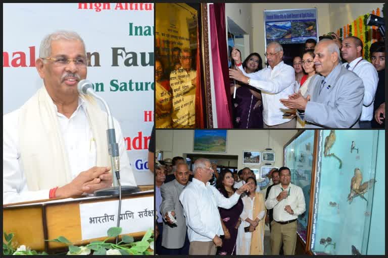 Governor visit to Solan