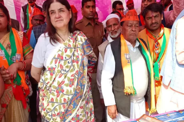 Maneka Gandhi expresses concern over deaths of horses, mules in Kedarnath Yatra route