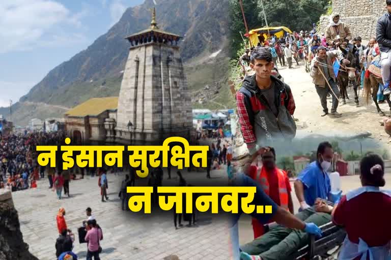 chardham yatra 2022