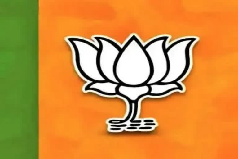 BJP strategy to win in Rajya Sabha election