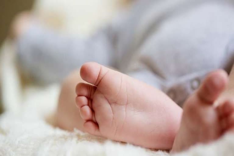 New born baby dies in Attappadi  അട്ടപ്പാടിയില്‍ വീണ്ടും ശിശുമരണം