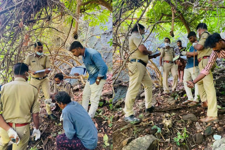 dead body parts found in rubber estate malappuram  body parts found in rubber estate  തിരുവമ്പാടി എസ്റ്റേറ്റിൽ മൃതദേഹ അവശിഷ്‌ടം കണ്ടെത്തി  തിരുവമ്പാടി റബർ എസ്റ്റേറ്റിനോട് ചേർന്ന വാപ്പാട്ട് കാടുമൂടിയ സ്ഥലത്ത് മൃതദേഹ അവശിഷ്‌ടം കണ്ടെത്തി  മനുഷ്യാസ്ഥികൾ തിരുവമ്പാടി എസ്റ്റേറ്റിൽ കണ്ടെത്തി  മൃതദേഹ അവശിഷ്‌ടം കണ്ടെത്തി