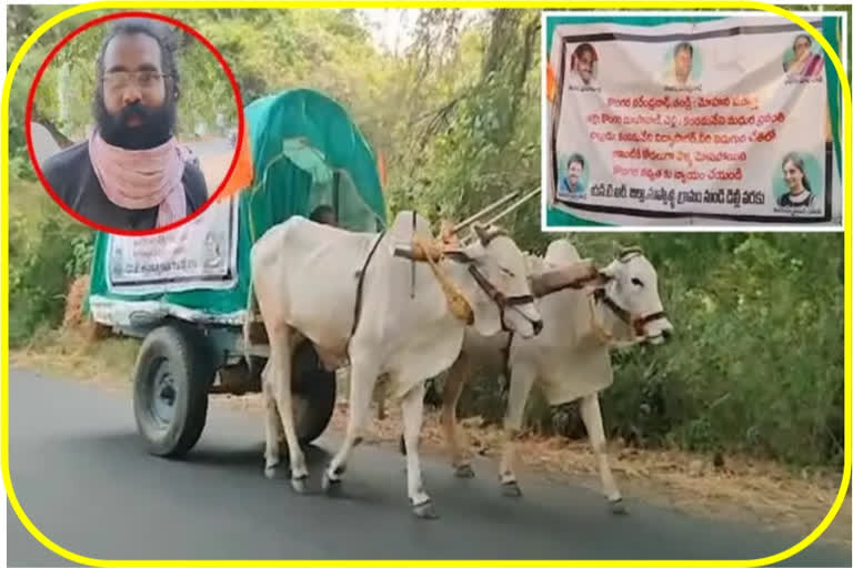 Bullock Cart