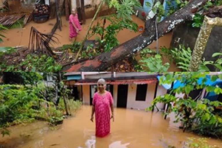 Lakshmiammas house at idukki Mudaliar Madam  flooded due to rain in Lakshmiamma house at idukki  മഴ നൽകിയ ദുരിതക്കയത്തിൽ മുങ്ങി ലക്ഷ്‌മിയമ്മ  മുതലിയാർ മഠം കുറുമ്പലത്ത് ലക്ഷ്‌മിയമ്മ  ഇടുക്കി ലക്ഷ്‌മിയമ്മയുടെ വീട് അപകടാവസ്ഥയിൽ  ഒറ്റമഴയിൽ ലക്ഷ്‌മിയമ്മയുടെ വീട്ടിൽ പ്രളയം