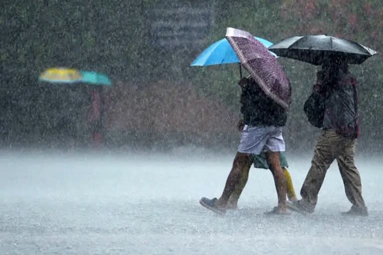 Kerala Monsoon