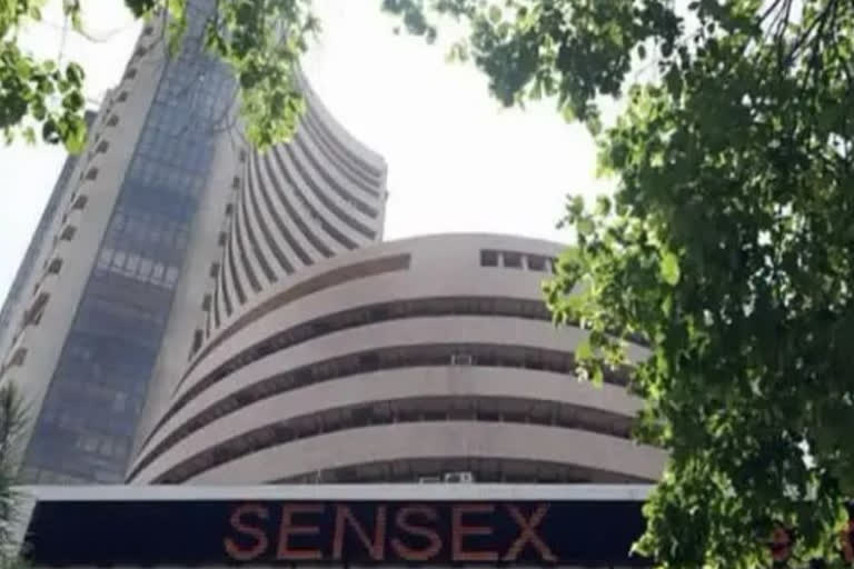 Sensex companies increased