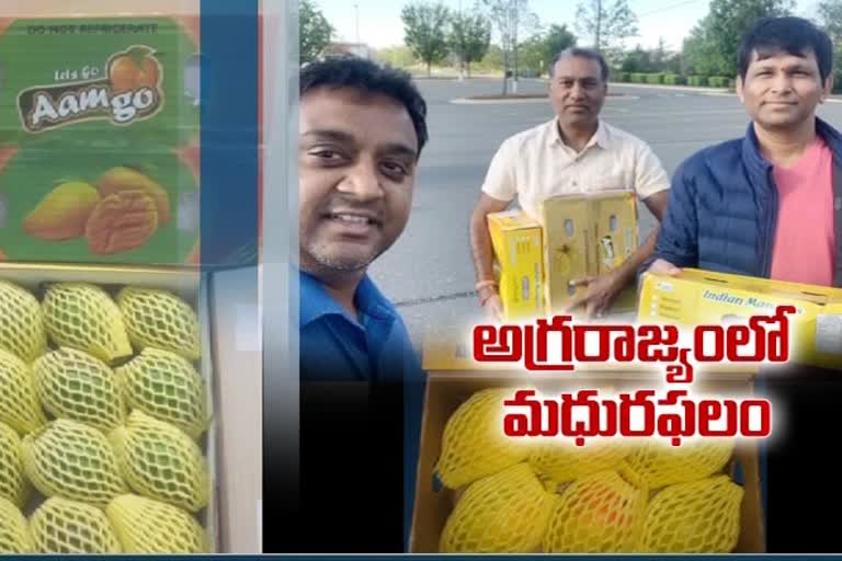 organic mangoes