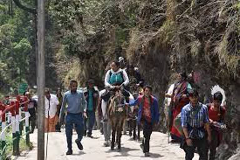 Not a single animal cruelty complaint was registered even after the death of horses and mules in Chardham Yatra