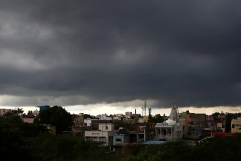 Rain In Delhi: دہلی میں موسلادھار بارش، آندھی سے درخت اکھڑے