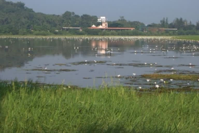 Hokersar Bird Conservation