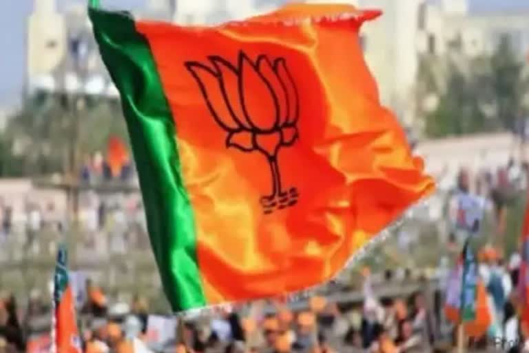 RS polls: ଆଉ ୪ ଜଣ ପ୍ରାର୍ଥୀଙ୍କ ନାମ ଘୋଷଣା କଲା BJP