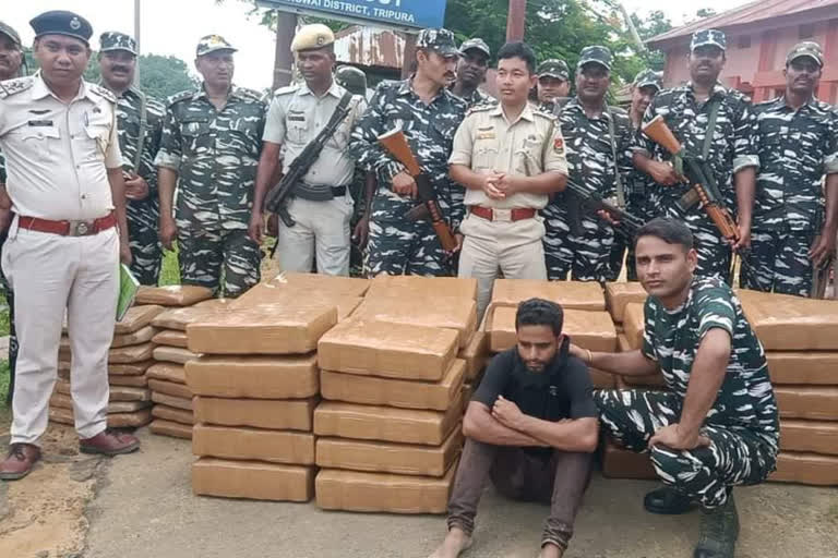 Police along with CRPF personnel seized 700kg of cannabis and arrested one person in Tripura  700 കിലോ കഞ്ചാവുമായി ഒരാൾ പിടിയിൽ  4 ലക്ഷം രൂപയോളം വിലമതിക്കുന്ന കഞ്ചാവുമായി ഒരാൾ അറസ്റ്റിൽ  ത്രിപുരയിൽ 700 കിലോ കഞ്ചാവ് പിടിച്ചെടുത്തു  700 കിലോ കഞ്ചാവുമായി ട്രക്ക് ഡ്രൈവർ അറസ്റ്റിൽ  രഹസ്യ വിവരത്തെ തുടർന്ന് അന്വേഷണം 700 കിലോ കഞ്ചാവുമായി ഒരാൾ പിടിയിൽ  Tripura Police along with CRPF personnel on Tuesday seized more than 700kgs of cannabis