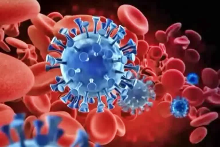 India reported 2745 new corona virus cases