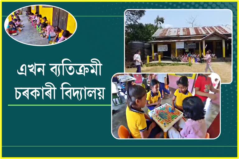 ফলে-ফুলে জাতিষ্কাৰ ৰাজ্যৰ এখন ব্যতিক্ৰমী বিদ্যালয়