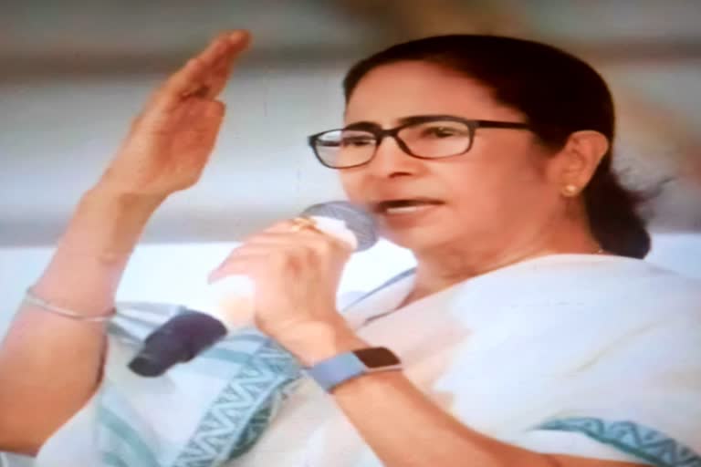 https://www.etvbharat.com/urdu/jammu-and-kashmir/state/west-bengal/i-have-never-seen-such-a-ruthless-prime-minister-and-home-minister-mamata-banerjee/na20210601083802685