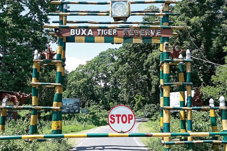 National Green Tribunal orders to Buxa Tiger Reserve