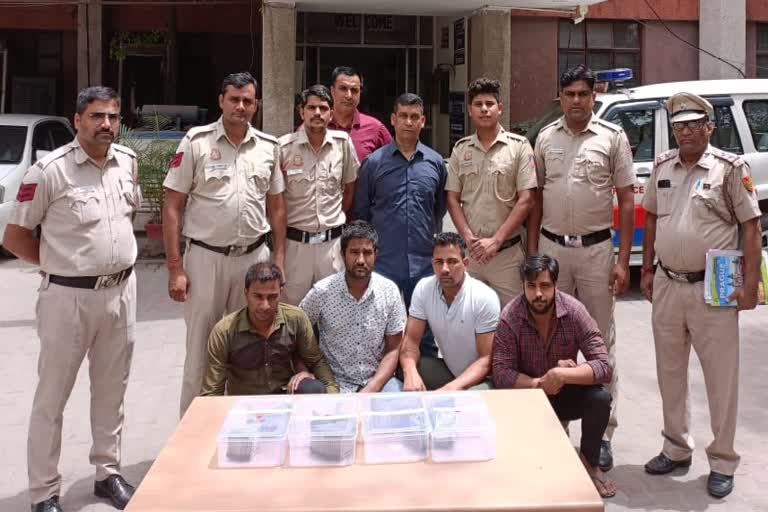 delhi-police-revealed-conspiracy-to-loot-complainant-turned-out-to-be-robber