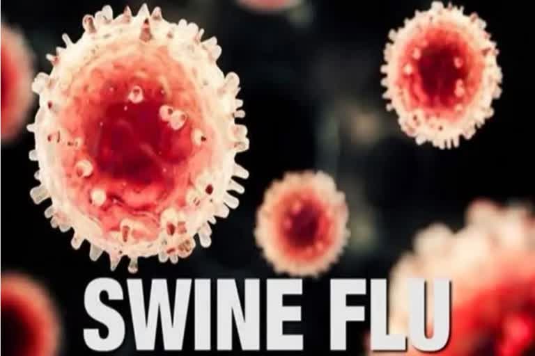 Indore Swine Flu Cases