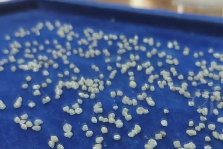 Chhattisgarh police seize diamonds worth Rs 50 lakh