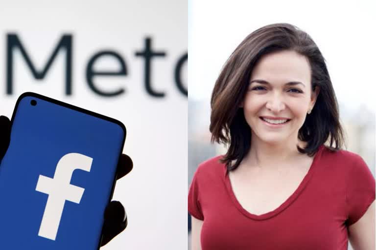 Facebook Meta COO Resign