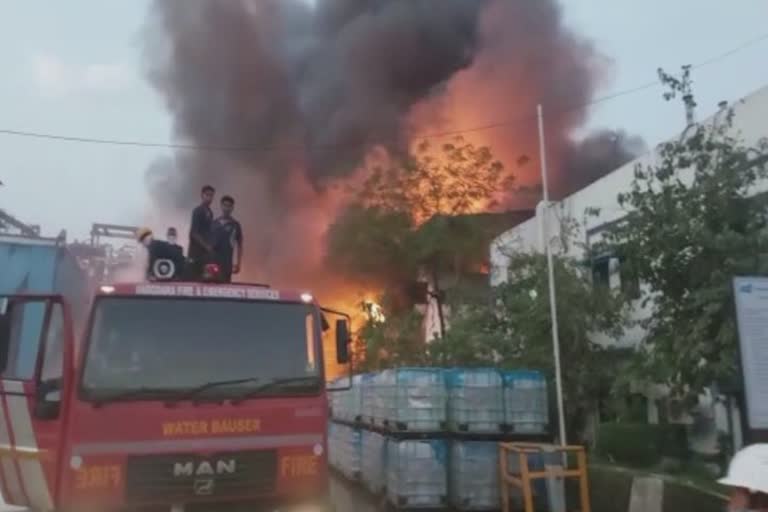 Fire in Company Vadodara: કંપનીમાં બ્લાસ્ટ થતાં 7 લોકોનો લેવાયો ભોગ, કેટલાકને તો...