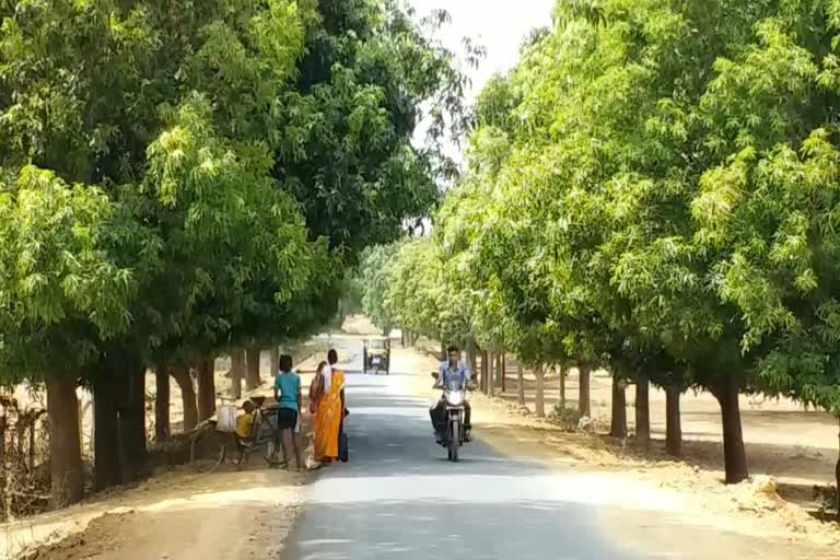 World Environment Day Late Johanlal Namdev of Shahdol planted many trees