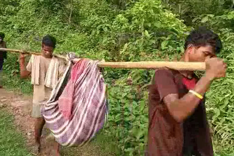 andhra pradesh news  ഗർഭിണിയെ ഡോളിയിൽ ചുമന്ന് ബന്ധുക്കള്‍  pregnant tribal woman carried in doli  മരക്കൊമ്പിൽ തുണികെട്ടി ഗർഭിണിയെ ആശുപത്രിയിൽ എത്തിച്ചു