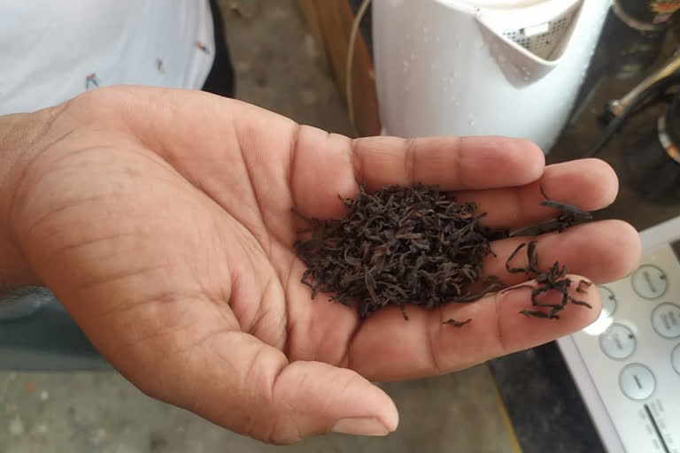 pesticides in indian tea power