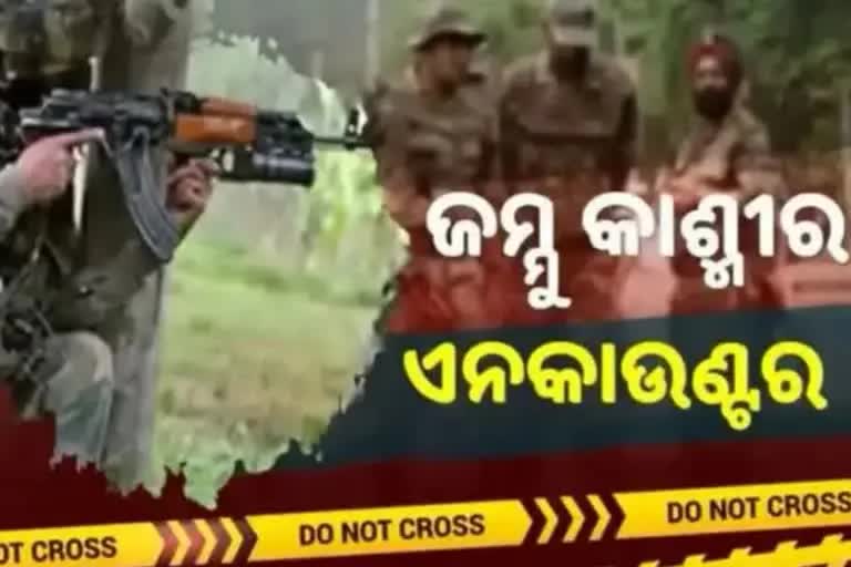 Encounter in Jammu: ସୁରକ୍ଷାକର୍ମୀଙ୍କ ଗୁଳିରେ ଟଳିଲା ଜଣେ ଆତଙ୍କୀ