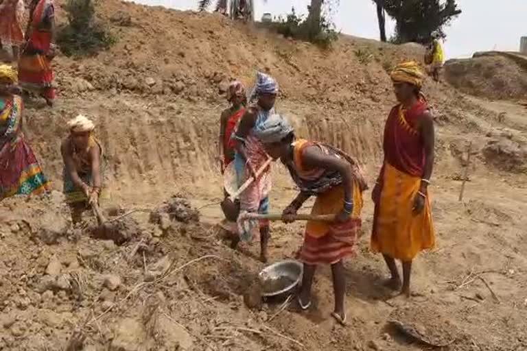 implementated of the MNREGA scheme in nabarangpur