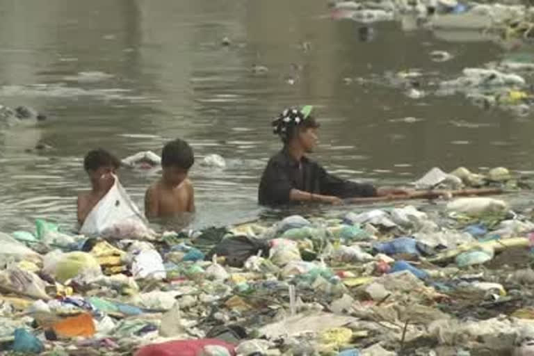 Pantnagar Agri University scientists claim to have developed biodegradable sheet as an alternative to polythene