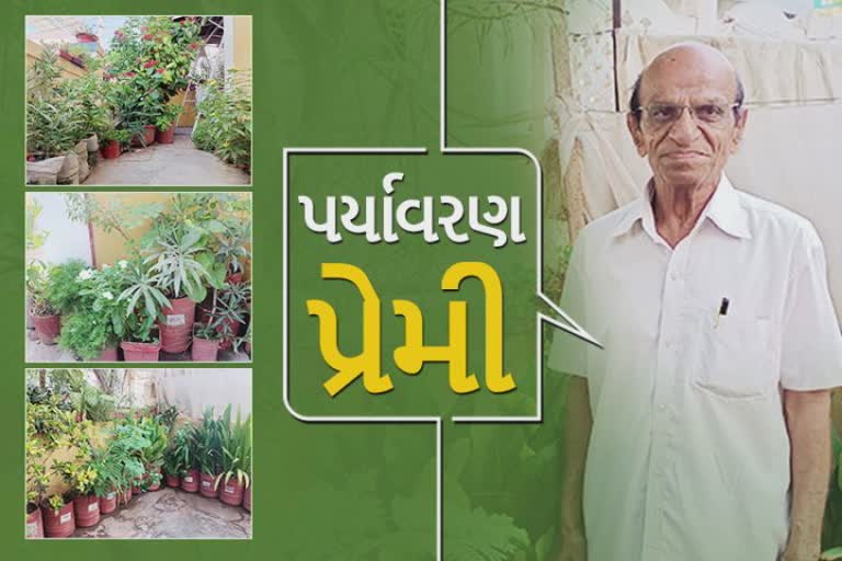 World Environment Day 2022 : એ કોણ છે જેણે 20,000 વૃક્ષો, 300 પ્રકારના છોડો, ઔષધીય વનસ્પતિઓ અને વેલનું જતન કર્યું છે!