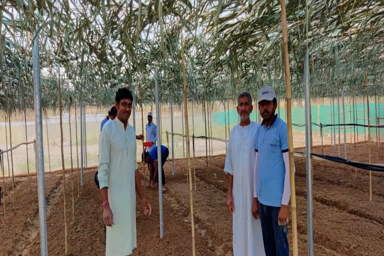 Akash Chaurasia Multilayer Farming Expert