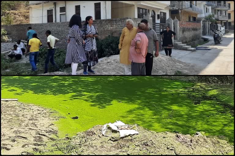 Daruhi Housing Board Colony Hamirpur