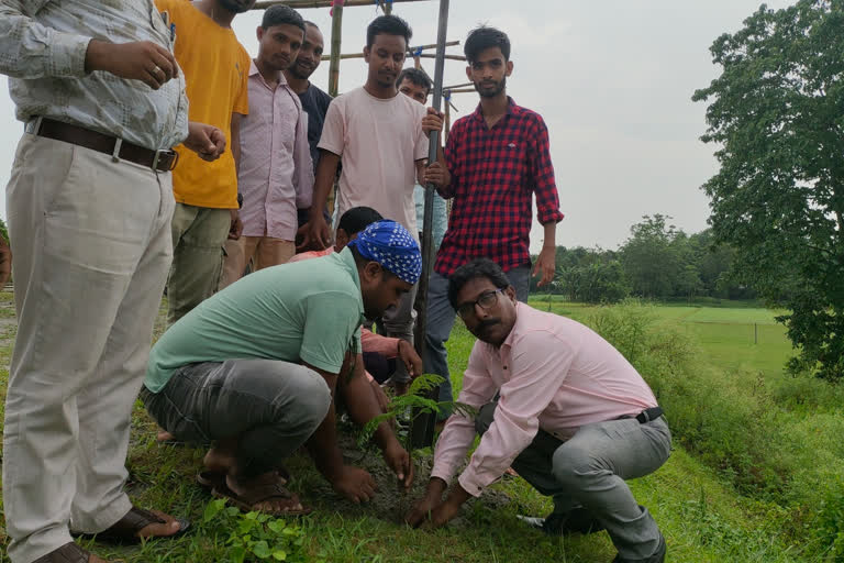 Target to plant Three thousand saplings in Kalgachia