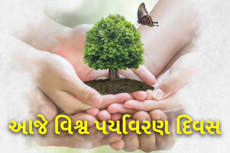 World Environment Day 2022 : 'વિશ્વ પર્યાવરણ દિવસ'ની ઉજવવાની પ્રક્રિયા ક્યારે શરૂ થઈ? જાણો...