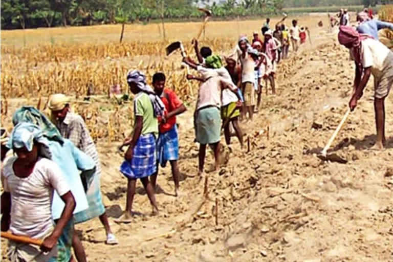 Over 12,000 contractual MGNREGA workers resign en masse