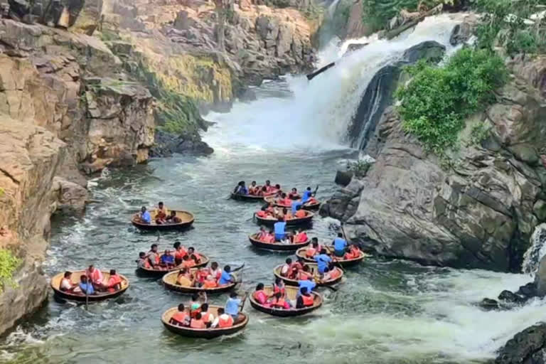 வீடியோ: கோடையில் களைகட்டிய ஓகேனக்கல்